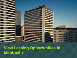 leasing-promo-montreal